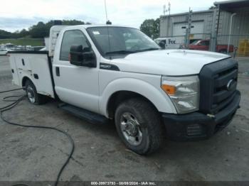  Salvage Ford F-250