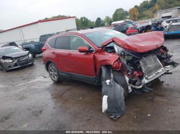  Salvage Honda CR-V