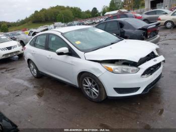  Salvage Ford Focus