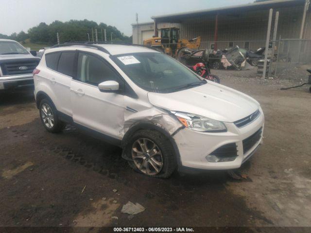  Salvage Ford Escape