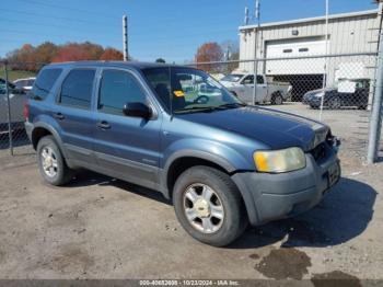  Salvage Ford Escape