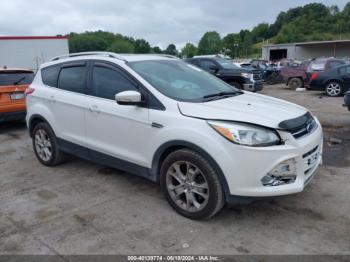  Salvage Ford Escape