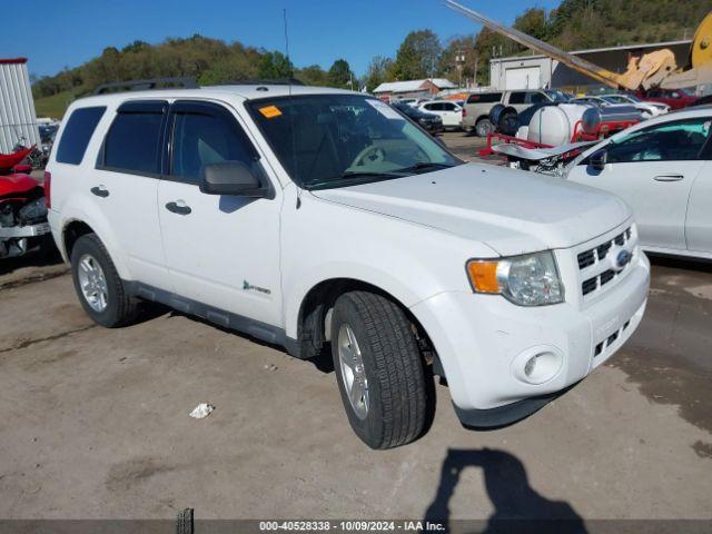  Salvage Ford Escape