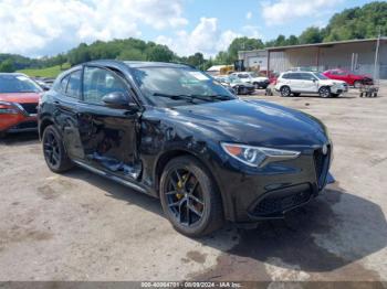  Salvage Alfa Romeo Stelvio