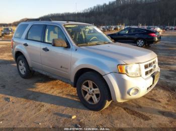  Salvage Ford Escape