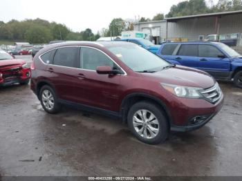  Salvage Honda CR-V