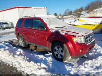  Salvage Ford Escape