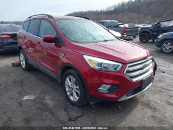  Salvage Ford Escape