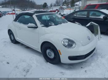  Salvage Volkswagen Beetle