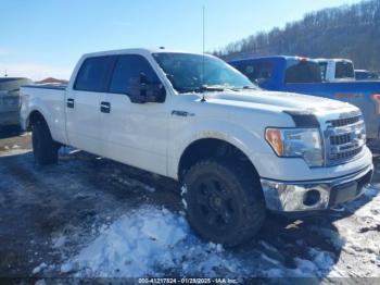  Salvage Ford F-150