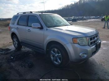  Salvage Ford Escape