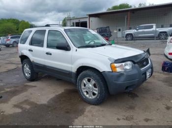  Salvage Ford Escape