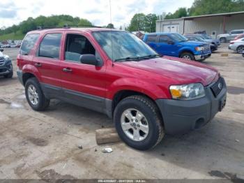  Salvage Ford Escape