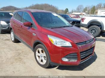  Salvage Ford Escape