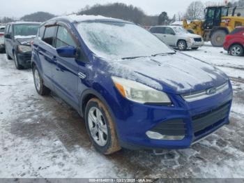  Salvage Ford Escape