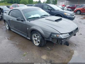  Salvage Ford Mustang