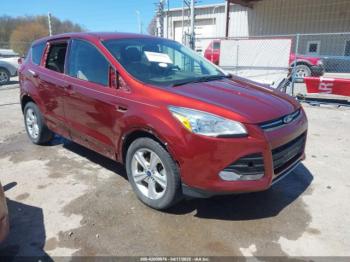  Salvage Ford Escape