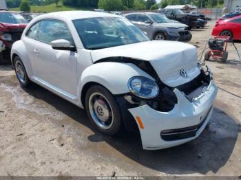  Salvage Volkswagen Beetle