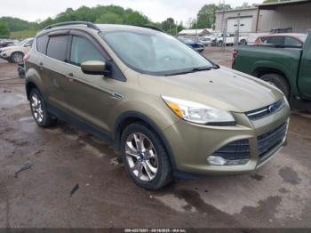  Salvage Ford Escape
