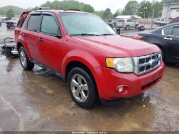  Salvage Ford Escape