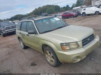  Salvage Subaru Forester