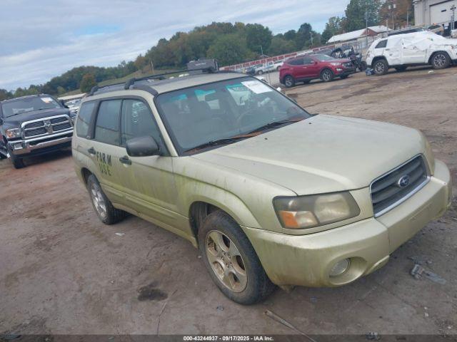  Salvage Subaru Forester