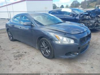  Salvage Nissan Maxima