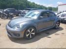 Volkswagen Beetle 2.0t Turbo Image 2