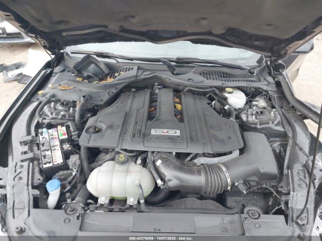 Ford Mustang Gt Fastback Image 11