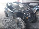 Can-Am Maverick X3 X Ds Turbo Rr Image 1