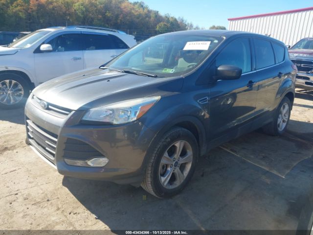 Ford Escape Se Image 3