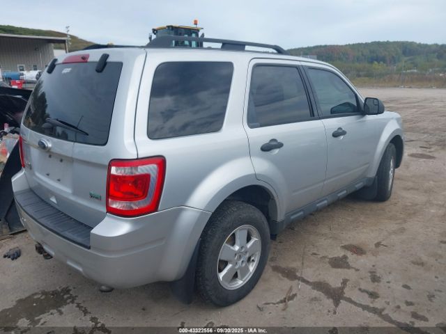 Ford Escape Xlt Image 6