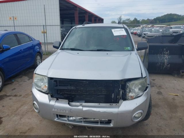 Ford Escape Xlt Image 13