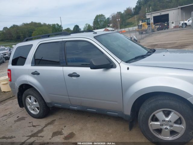 Ford Escape Xlt Image 5