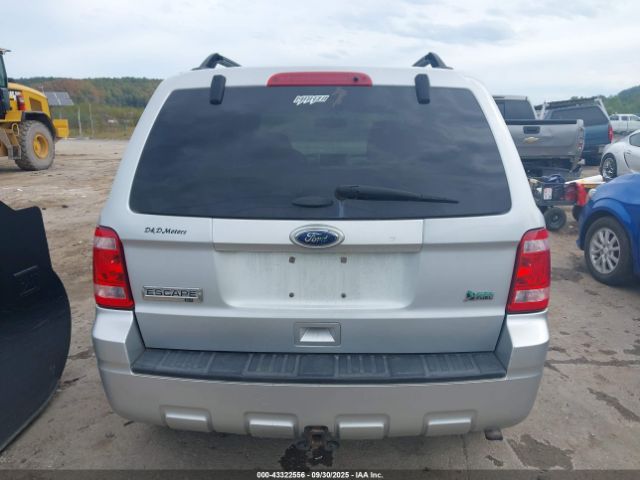 Ford Escape Xlt Image 11
