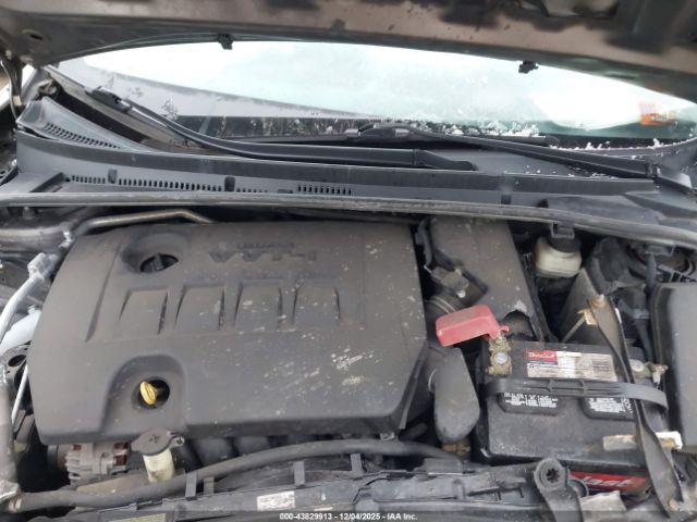 Toyota Corolla Le Image 4