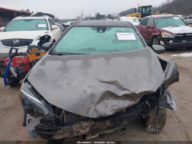 Toyota Corolla Le Image 12