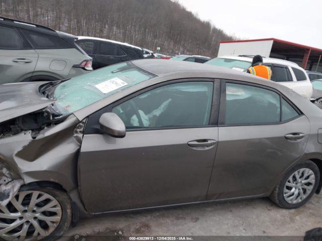 Toyota Corolla Le Image 13